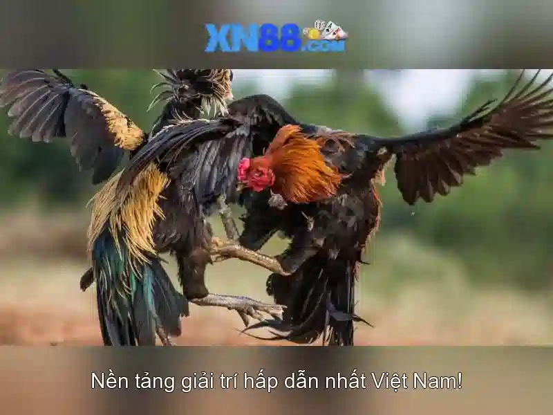 💎188v,com💎 - 188v có lừa đảo không - 188v đăng nhập