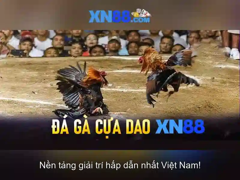 💎ca nhạc ngậm lại cuộc đời💎