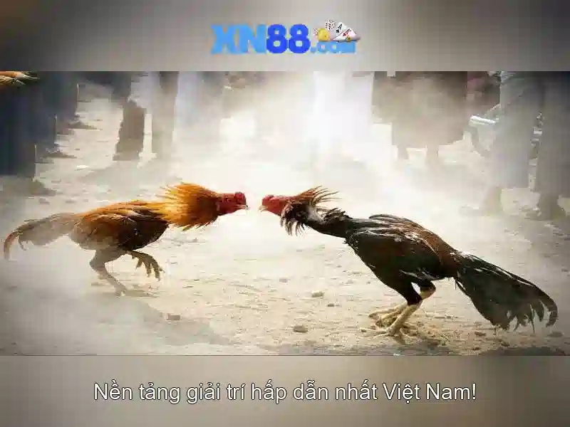 💎888 slot city -- slot💎