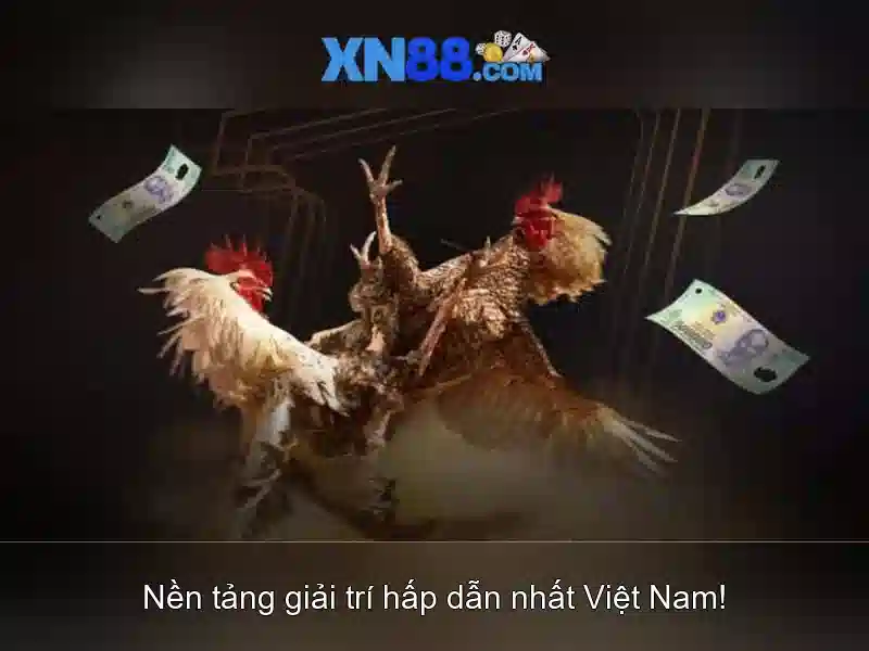 💎888 slot herbal tea benefits💎