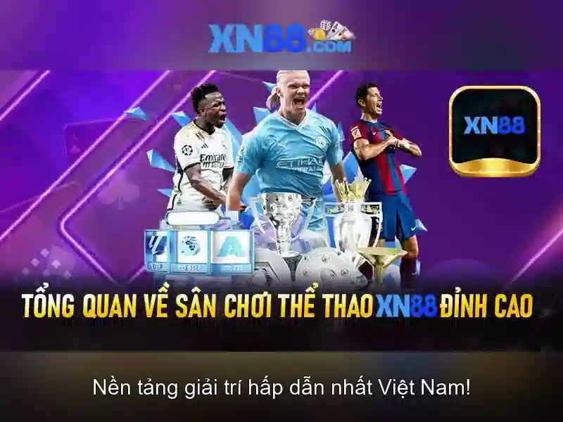 💎xn88 free100 xn88coin💎