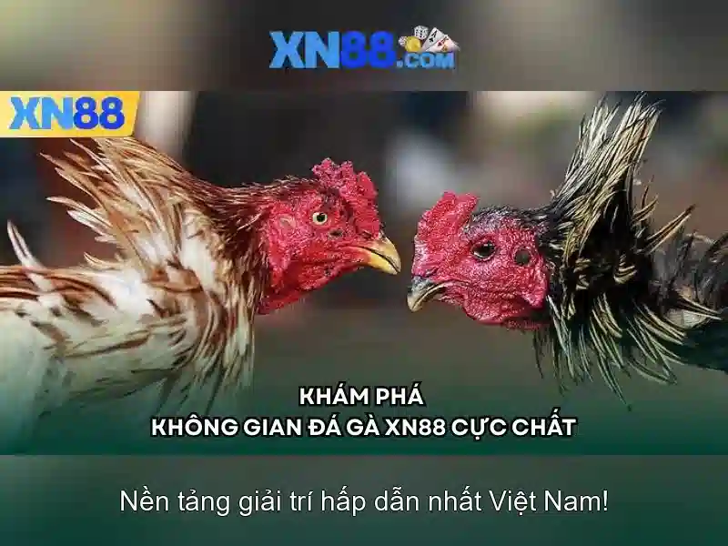 💎kèo nhà cái việt nam và lào💎