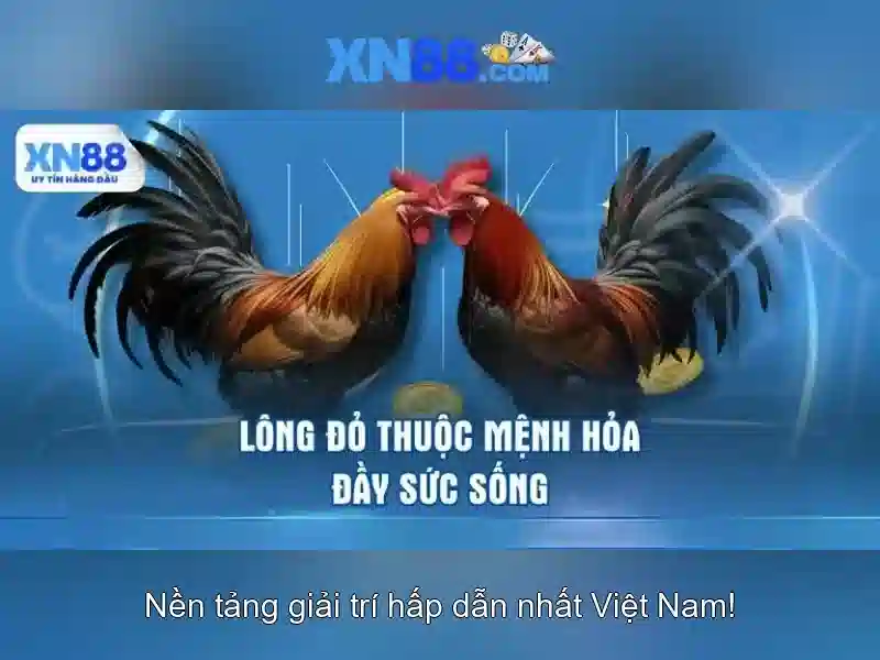 💎kèo nhà cái bóng đá world cup💎