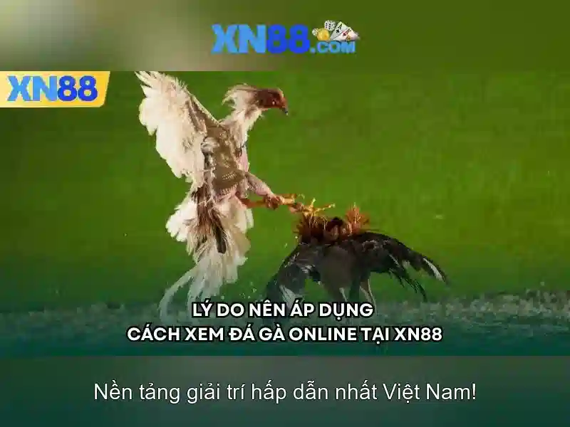 💎xn88 thai💎