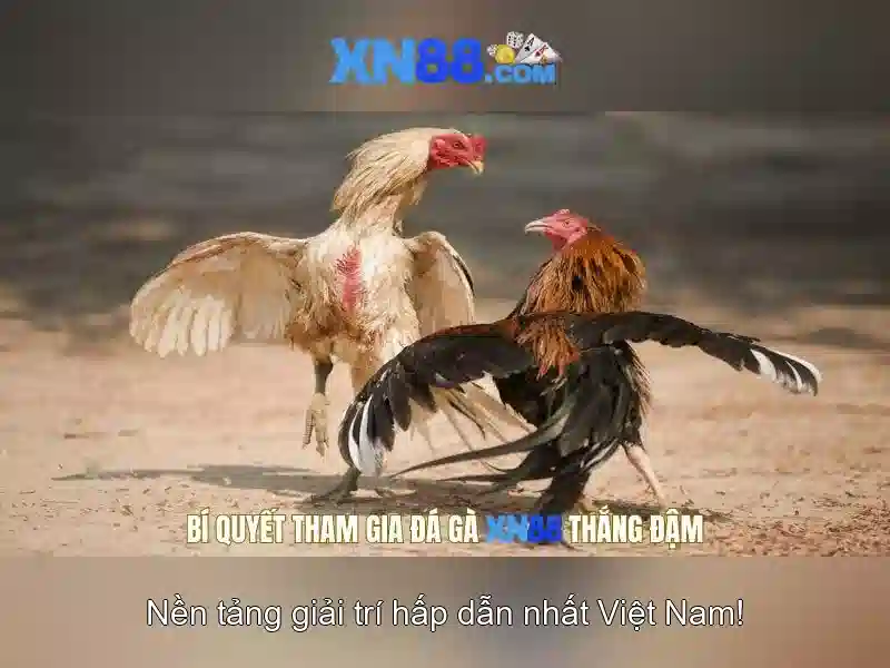 💎địa danh quê ngoại của bác hồ💎
