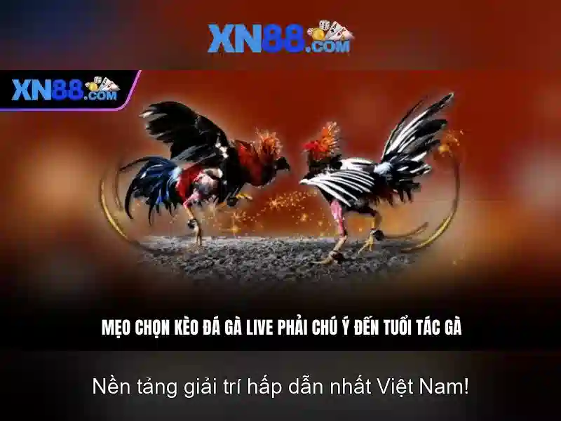 💎slot machine no deposit free spins💎