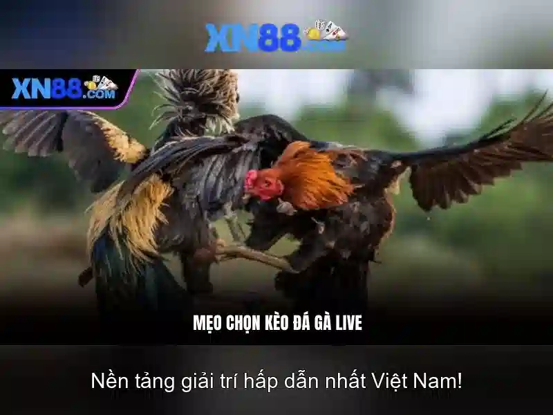 💎sạc dự phòng habitek 888 slot💎