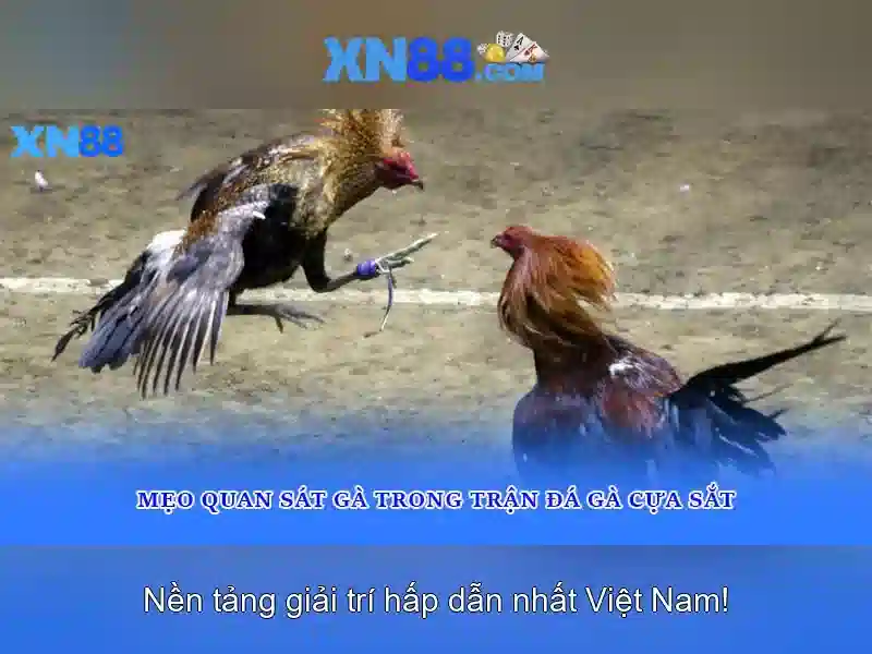 💎nhà cái uy tín casinoonline💎