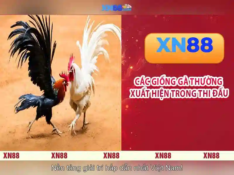 💎how to win 888slot super ace💎