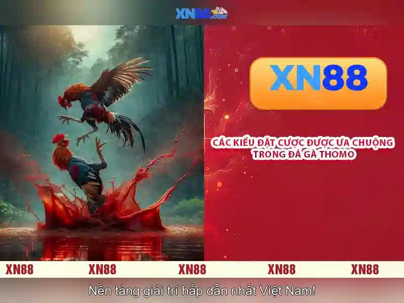 💎cá cược bóng đá 2022💎