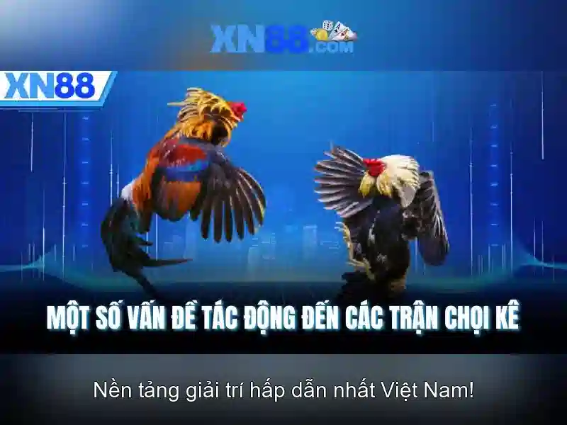 💎hb88 free 200 hb88how.com💎