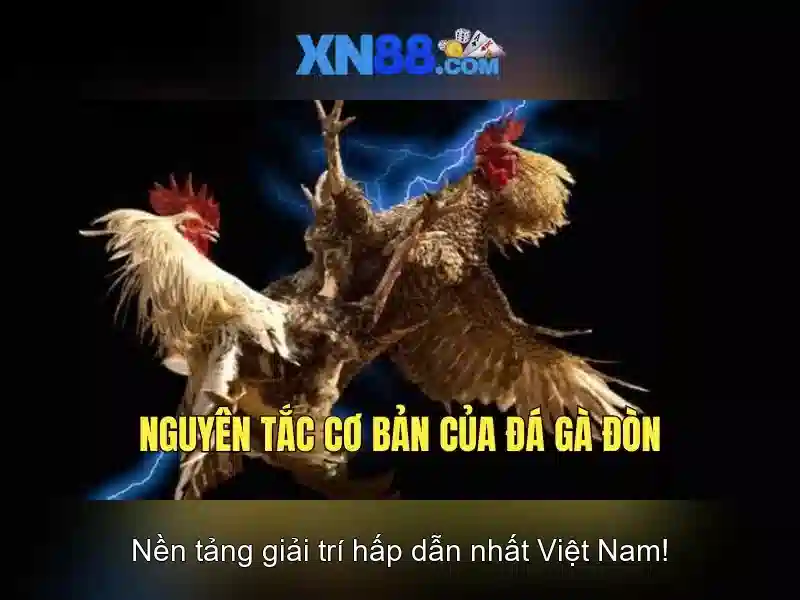 💎tỷ lệ kèo nhà cái việt nam indonesia💎