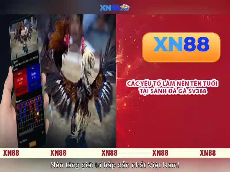 💎xn88 gaming casino💎