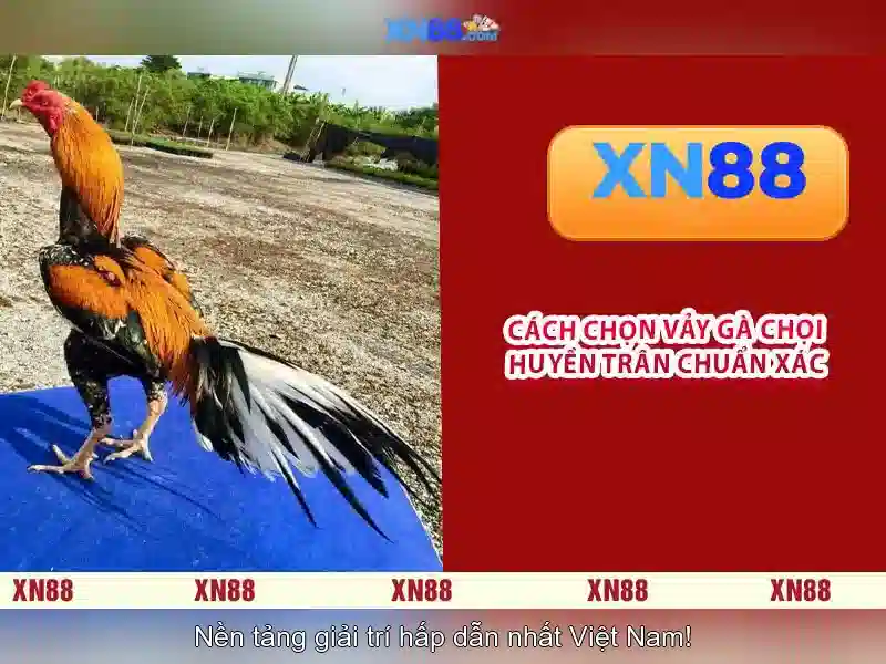 💎xn88 fishing jackpot💎