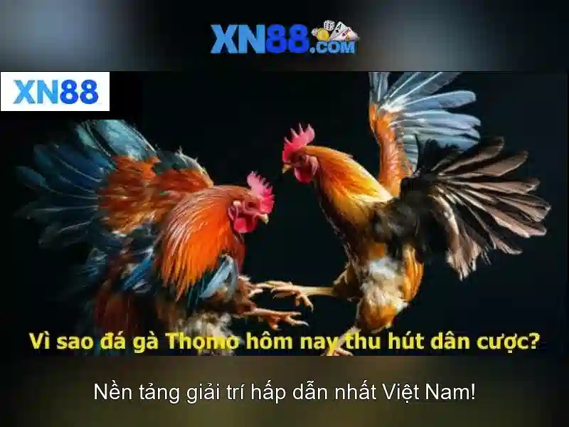 💎337 xn88 com💎