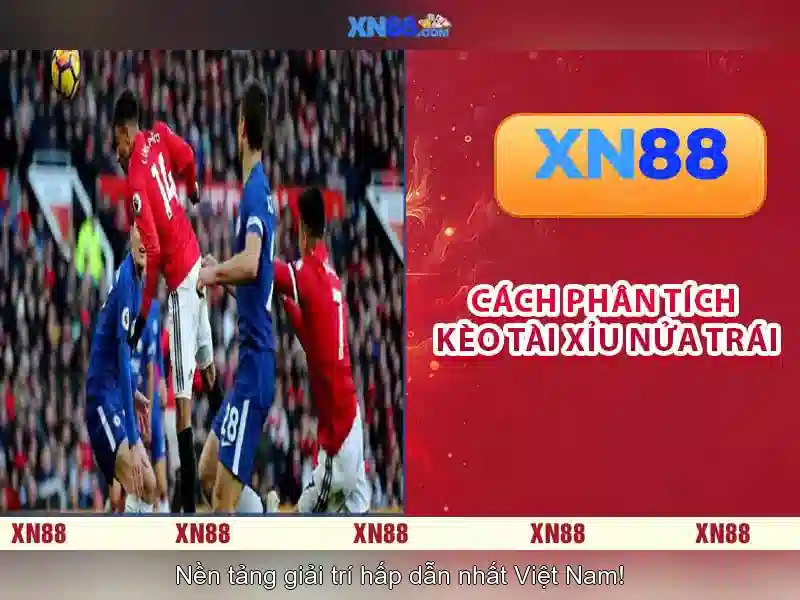💎xử phạt hành vi to chức đánh bạc💎