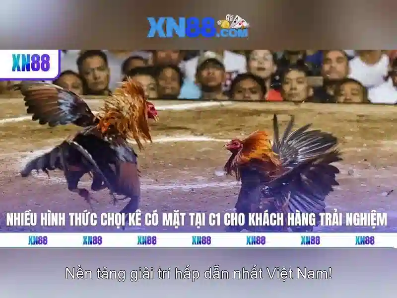 💎cờ caro 66b💎 - đăng nhập 66b - nhập code 66b
