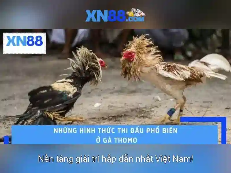 💎nha cai uy tin green💎