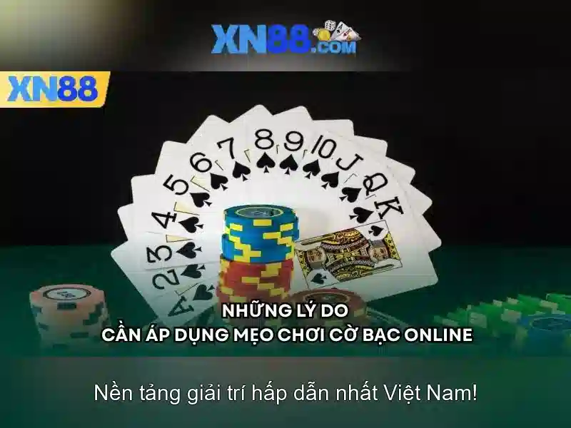 💎nhà xe bình mùi việt trì - lào cai💎