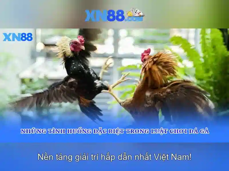 💎ti lệ cá cược đêm.nay💎