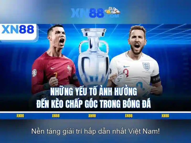 💎top 6 nhà cái uy tín nhất việt nam 2024💎