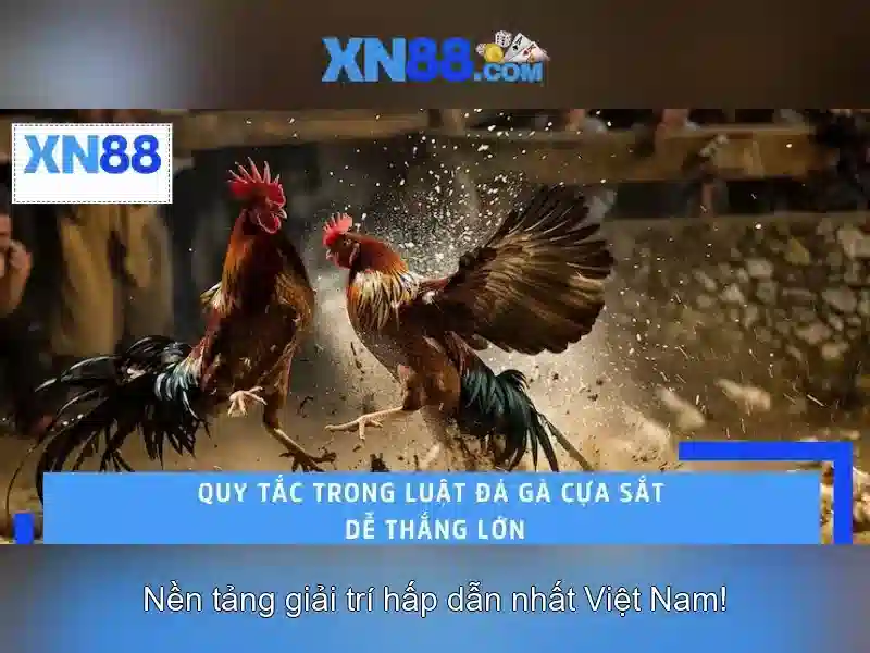 💎20bet sòng bạc di động💎
