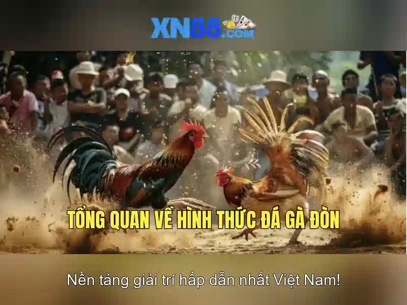 💎khung phạt tội đánh bạc💎