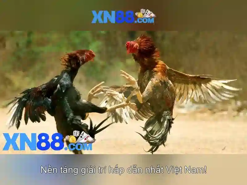 💎hb88 khuyến mãi code💎 - hb88 chau á - hb88 app