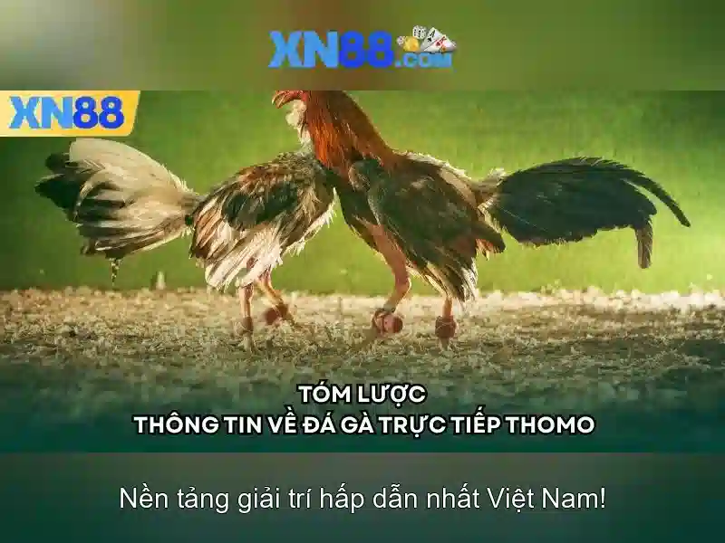 💎nhà cai uy tin nhat💎