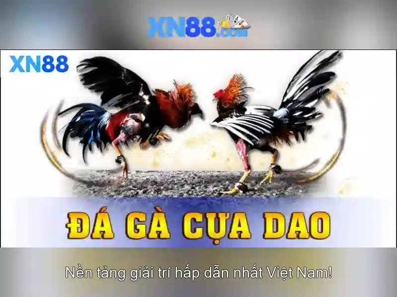 💎danh sách phạt nguội bắc kạn💎