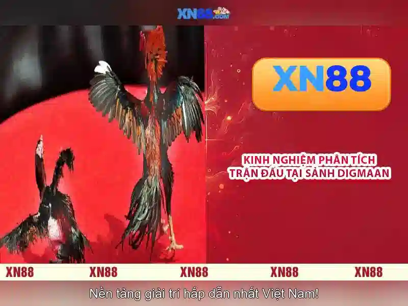 💎jun88 nhà cái💎