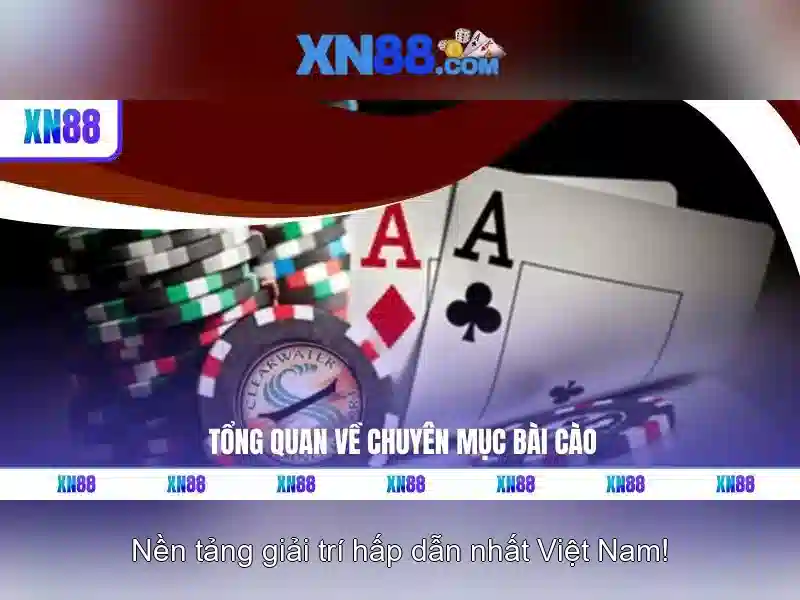 💎night city 888slot💎