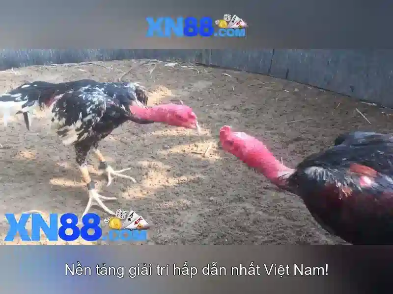 💎888 slot link truy cập nhà cái mới nhất tặng 188k💎