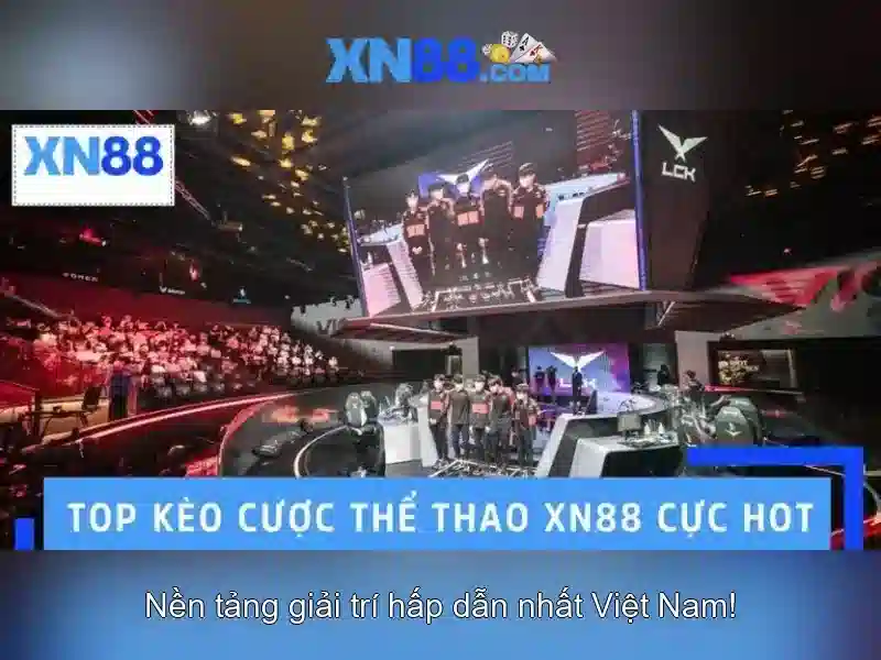 💎dây cước câu cá chim💎