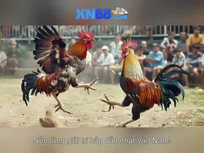 💎xn88 - nhà cái hàng đầu hà nội💎