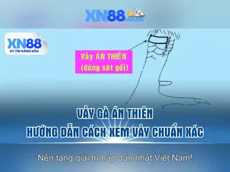 💎nhà cái bóng đá trực tiếp blckvc💎