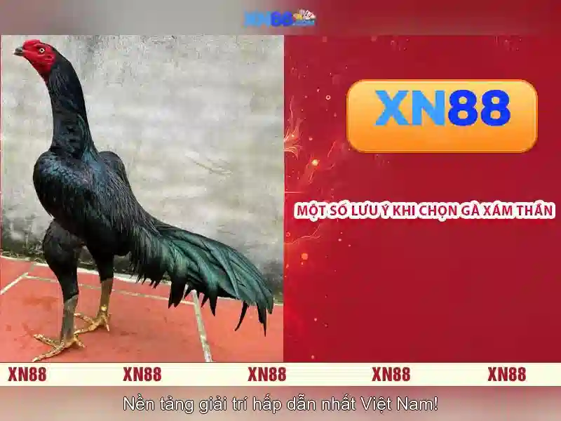 💎broer xn88 slot💎
