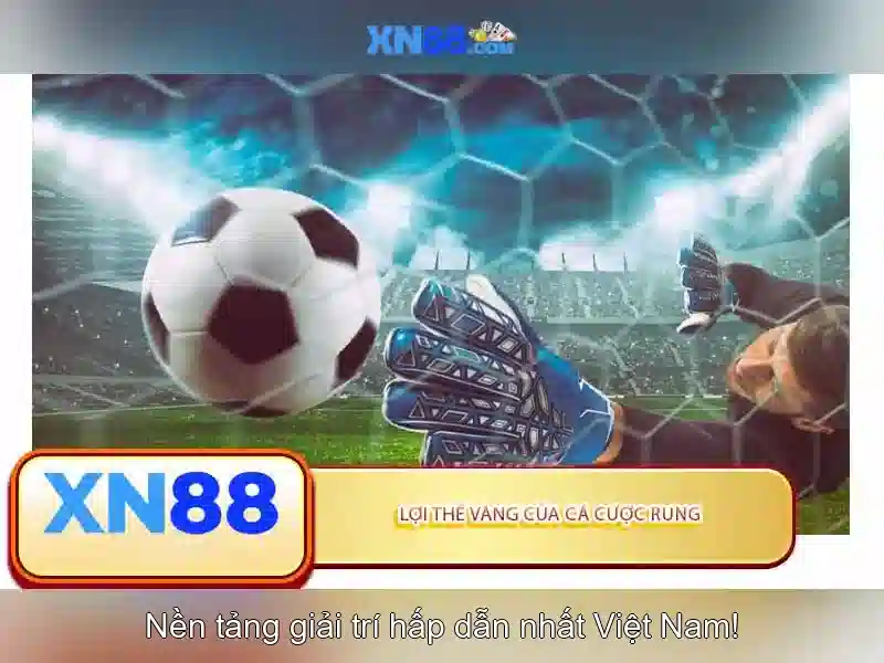 💎wk777 xn88 win💎