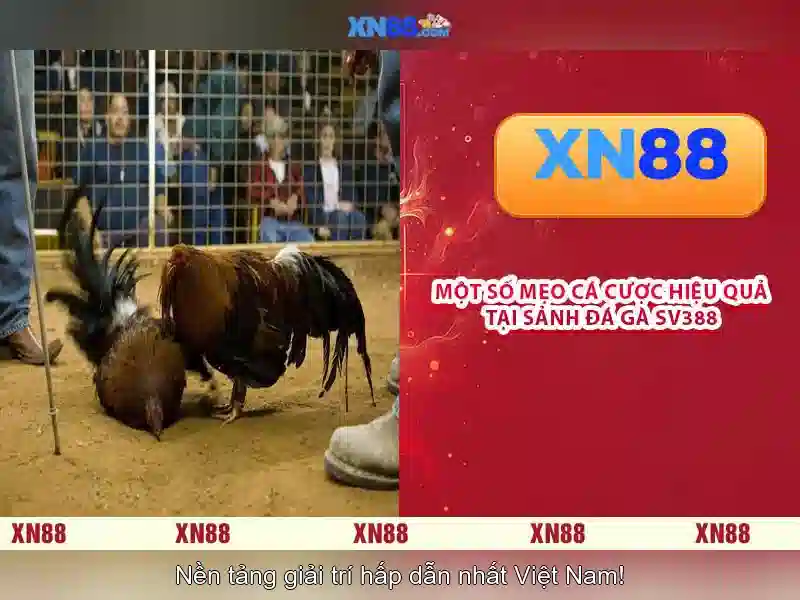💎xn88 slot bị thẻ đỏ💎