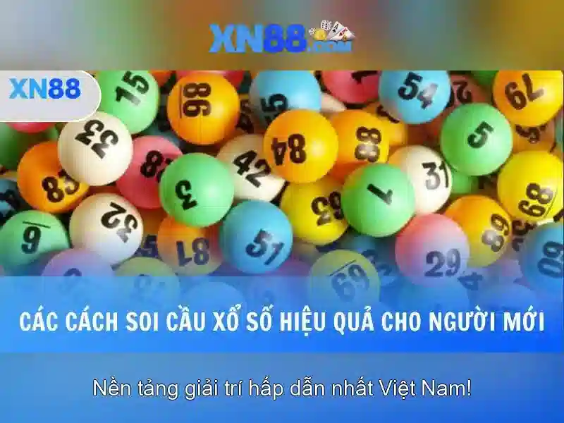 💎xn88 bingo💎