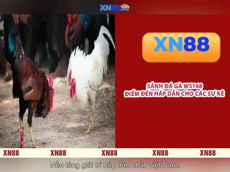 💎tất cả gói cước của viettel💎