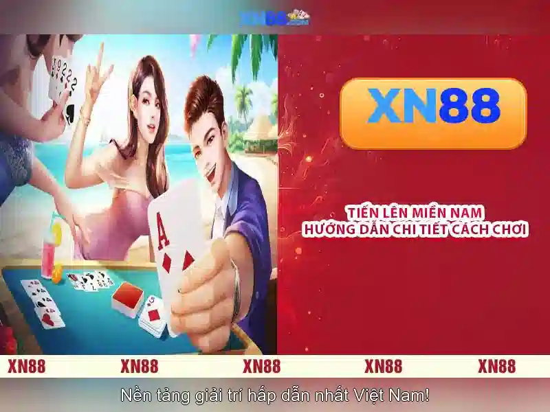 💎tội tổ chức đánh bạc 2015💎