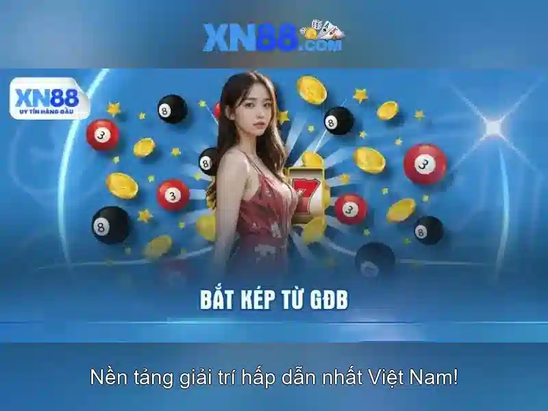 💎nha cái bóng đá💎