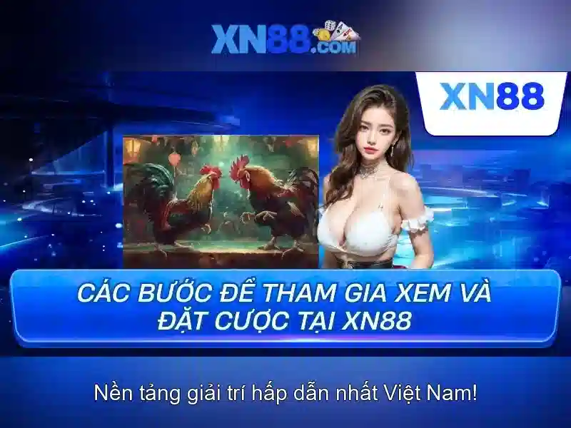 💎nha cai 2024💎