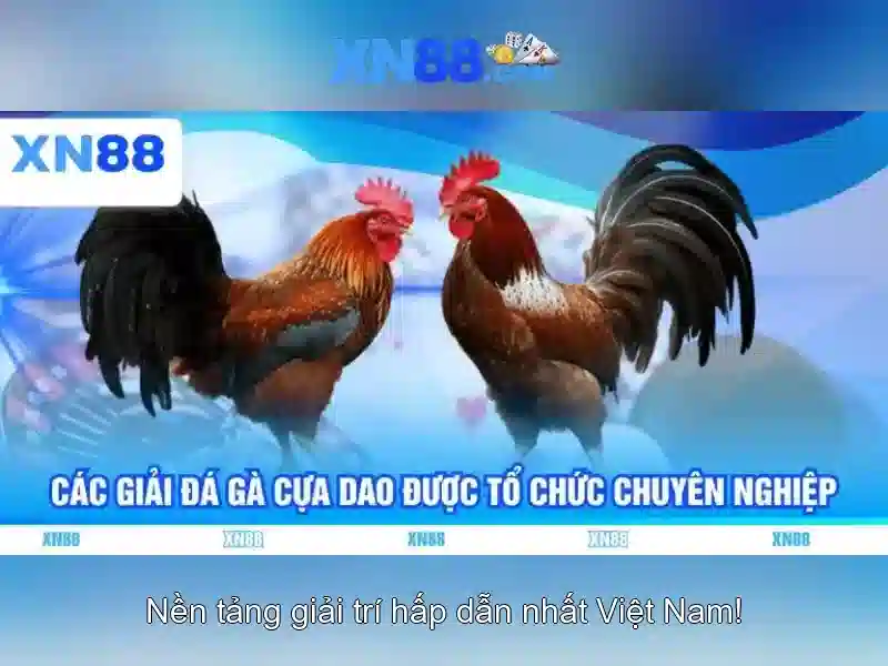 💎nhà cái sodo lừa đảo💎