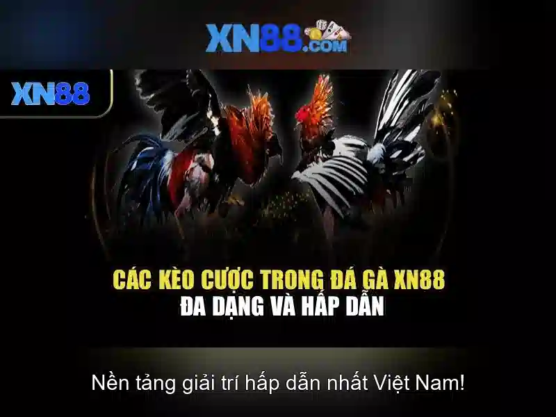 💎bet88 nha cai loi cuon💎