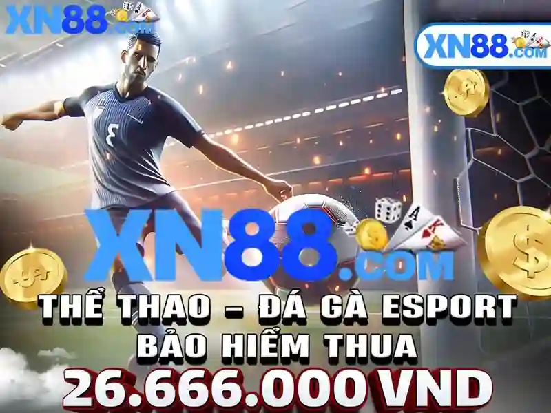 💎nhà thờ giáo xứ cái bè💎