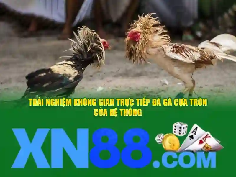 💎8xbet nhà cái uy tín💎